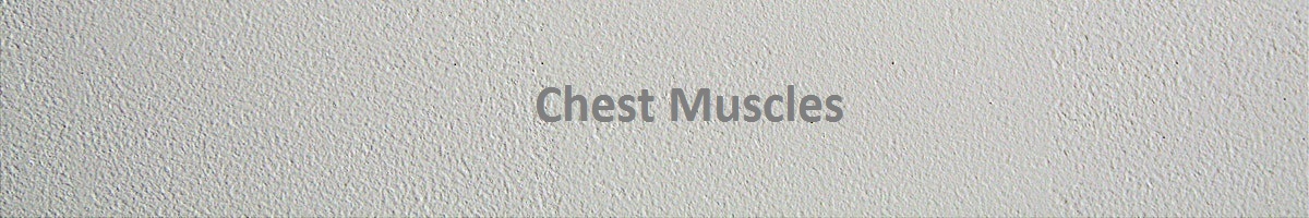 Chest Muacles